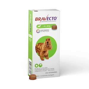 Bravecto antipulgas
