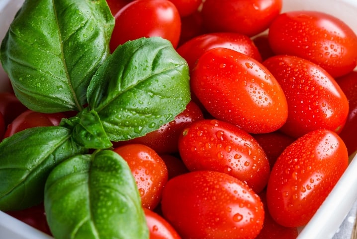 como plantar tomate cereja em apartamento