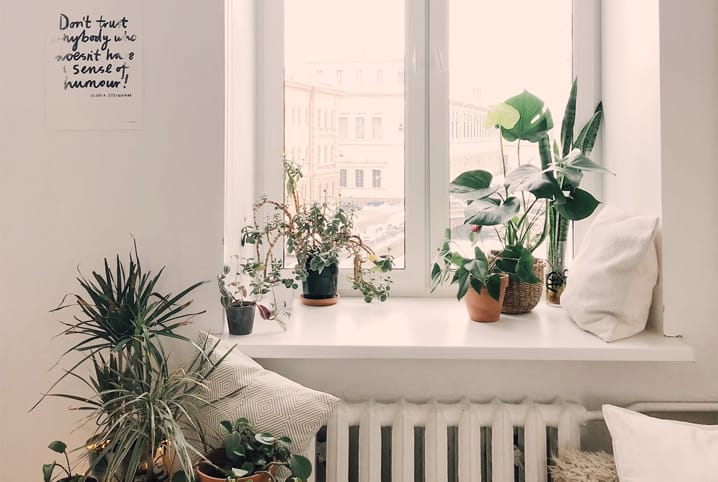 sala com plantas e um quadro na parede