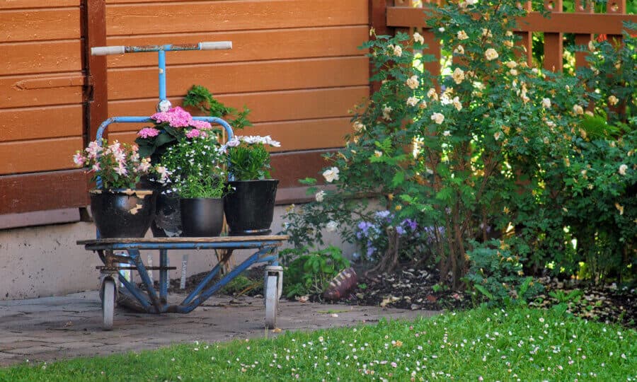 Jardim com flores e arbustos. 