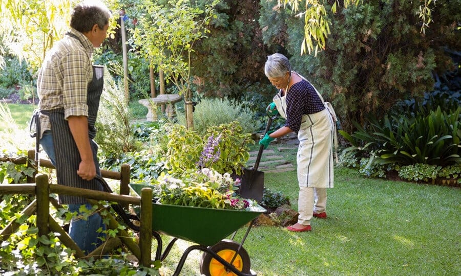 mulher mexendo em um jardim com um homem ao lado segurando um carrinho de mão cheio de plantas