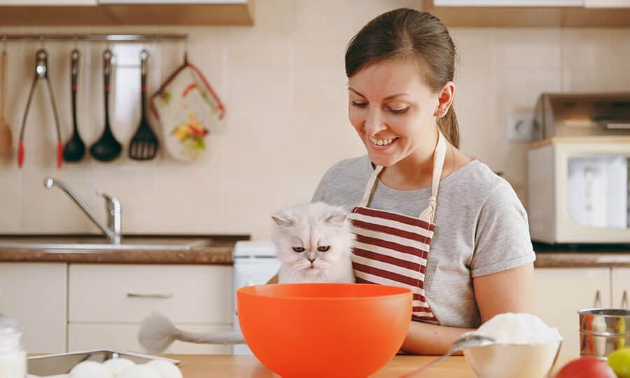 Tutora de avental preparando uma receita com ovos ao lado do gato.