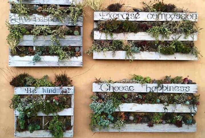 plantas em parede