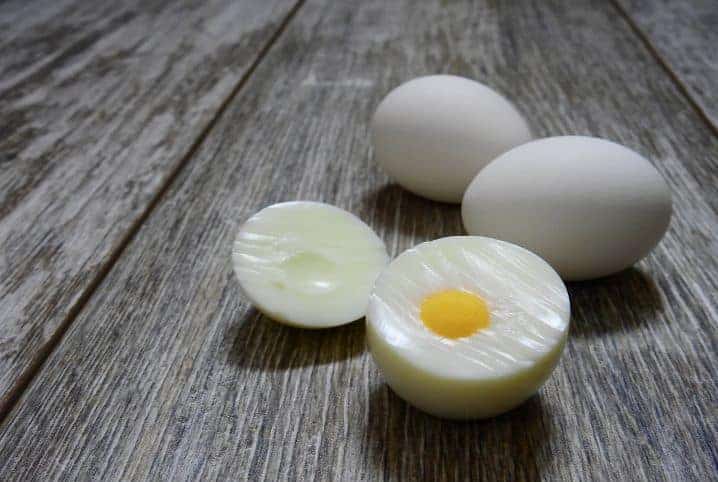 gato pode comer clara de ovo