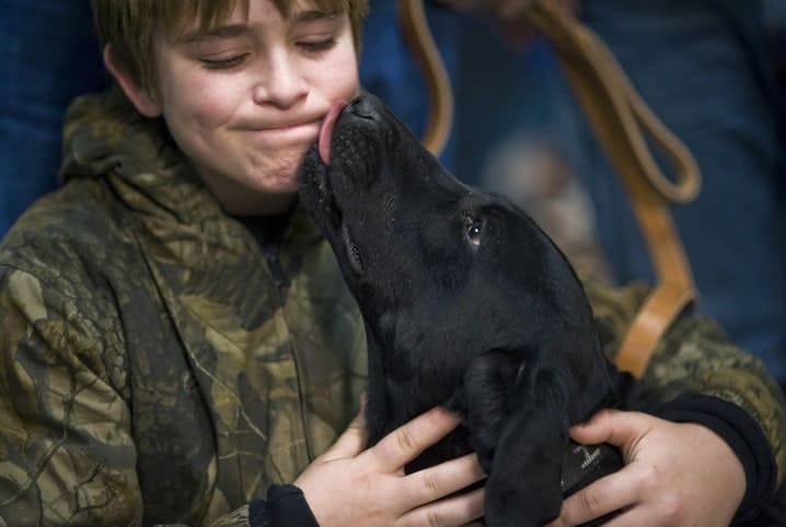 cachorro preto lambendo um menino