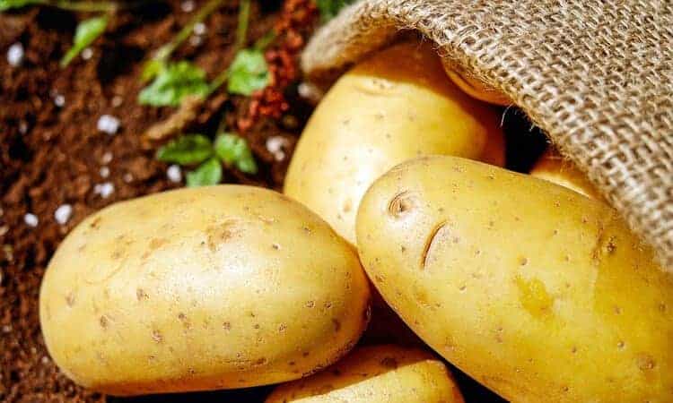 imagem de batatas