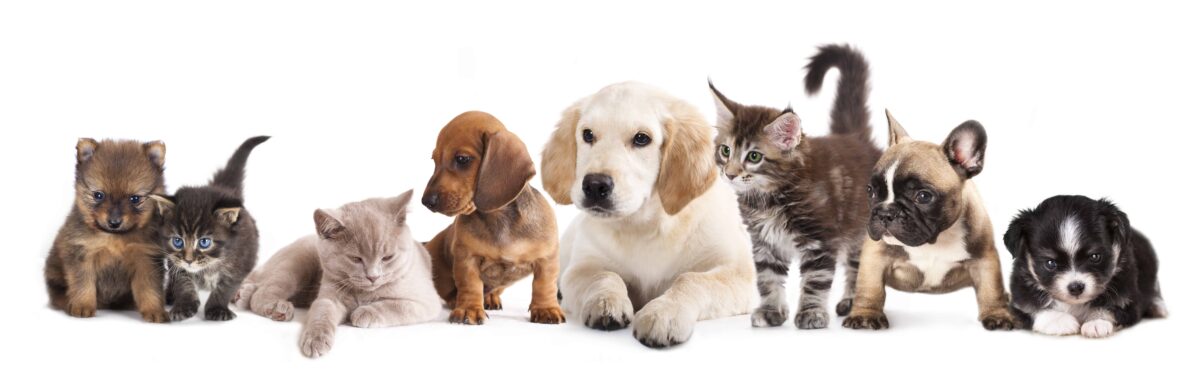 shutterstock 111029813