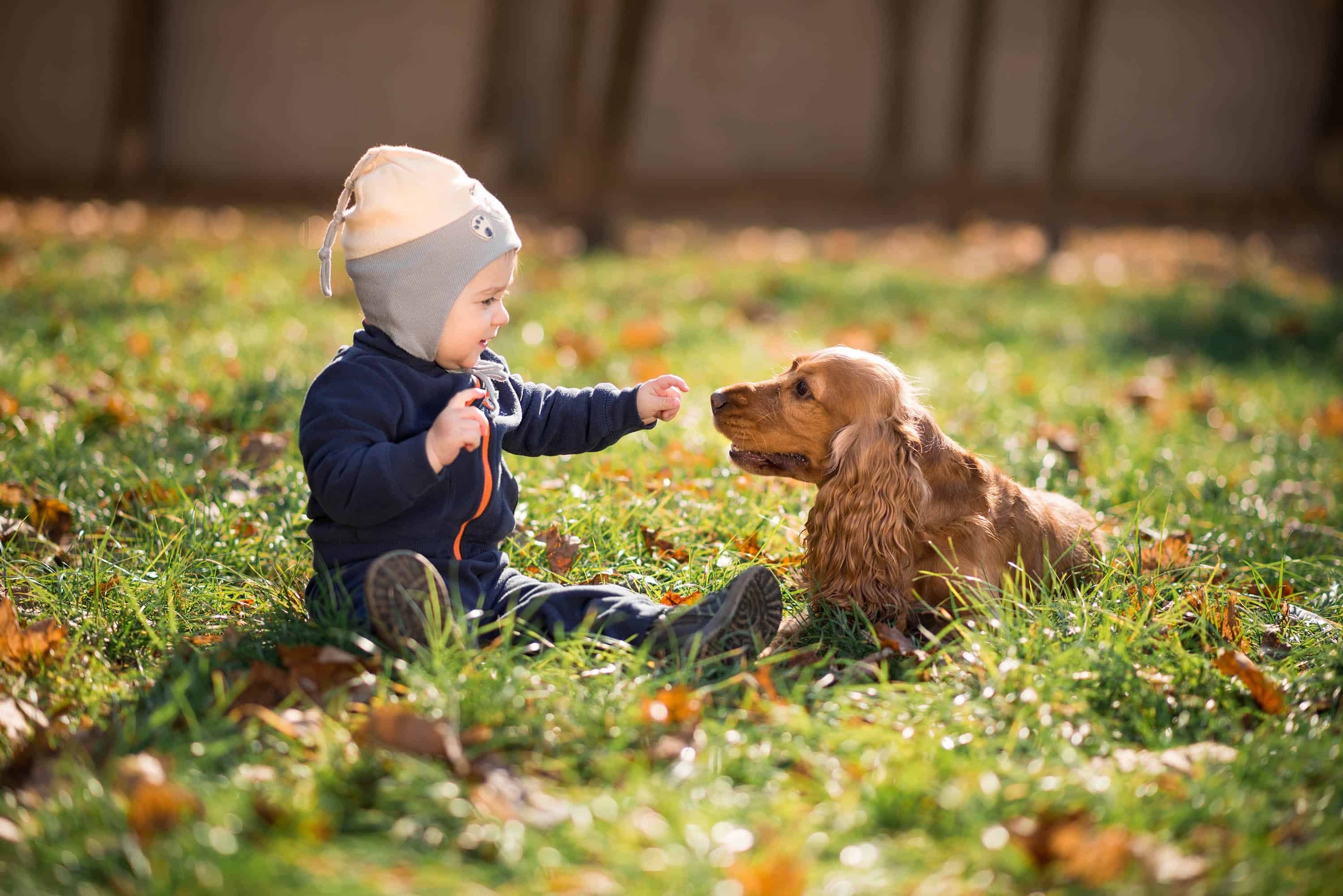 Cachorros e crianças pequenas - Blog Petz