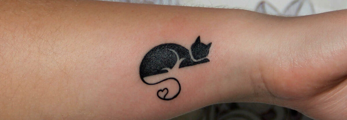 capatattoogatos