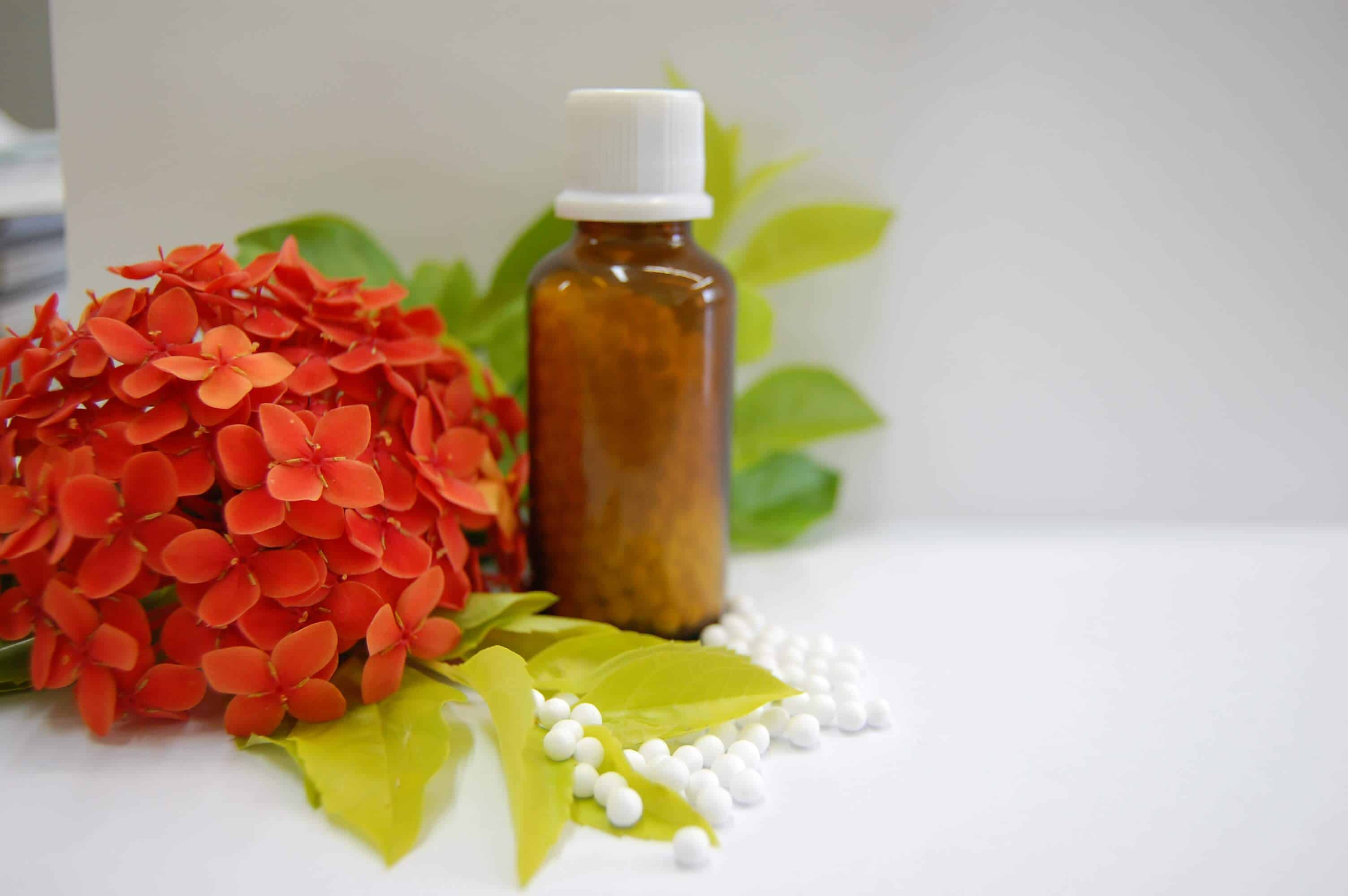 Resultado de imagem para Tratar das plantas com homeopatia