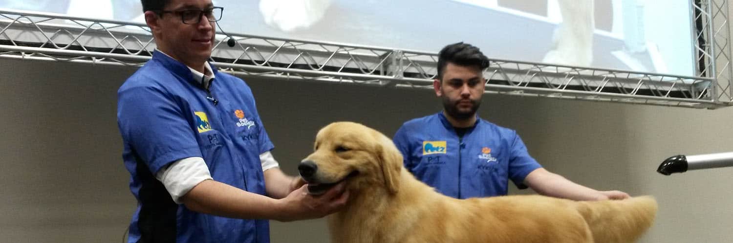 Groomer expert da Petz dá dicas de tosa na Pet South America