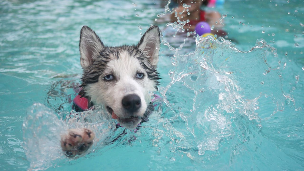 Meu filho está gripado. Ele pode entrar na piscina? 