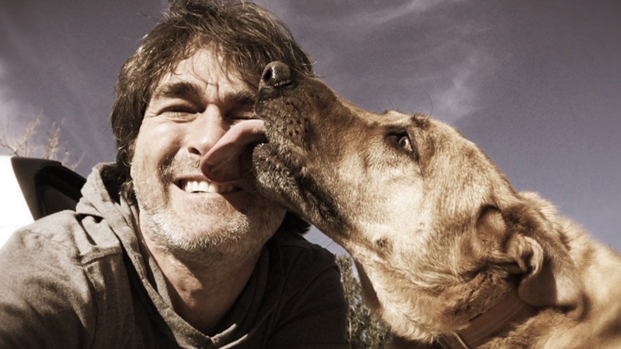 Pq os cachorros nos lambem Clearance