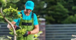 Tudo sobre jardinagem: conheça 6 mitos e verdades