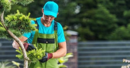 Tudo sobre jardinagem: conheça 6 mitos e verdades