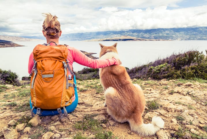 mais que animais de estimação membros da familia