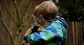 Como tirar pelo de gato da roupa: 5 dicas