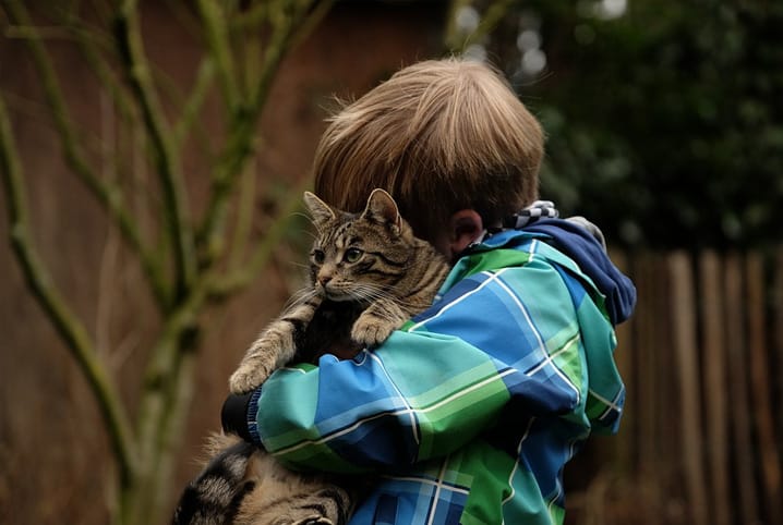 Como tirar pelos de gato e cachorro da roupa e da mobilia