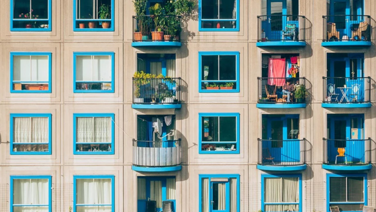 Jardim em apartamento: dicas importantes para criar | Petz
