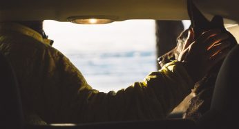 Viagem internacional com cachorro? Conheça as regras