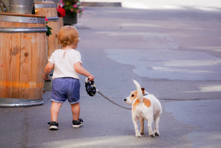 criança passeando com cachorro