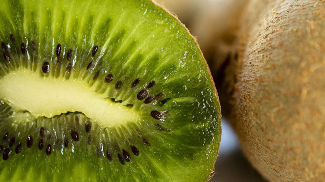 Cachorro pode comer kiwi? Confira a resposta | Petz Cachorro pode comer kiwi? Confira a resposta | Petz