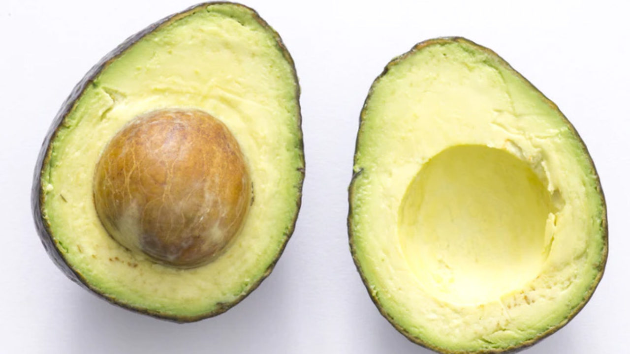 Cachorro pode comer abacate? Venha descobrir | Petz