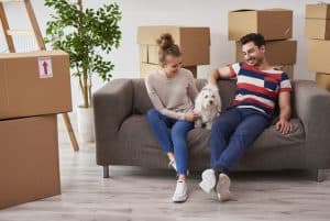 7 dicas de como escolher um cachorro para apartamento