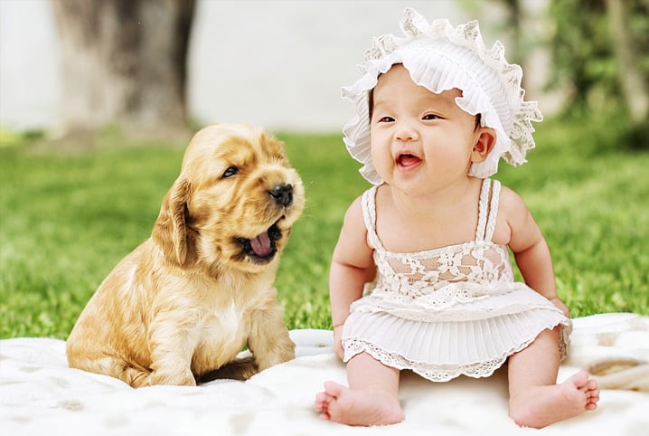 Como cuidar de um cachorro filhote e 6 benefícios de crescer com um pet