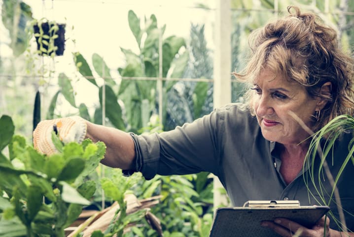Como decorar um jardim: 10 dicas para você se inspirar