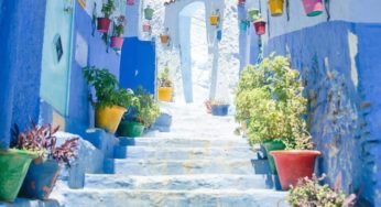 6 dicas para montar seu próprio jardim embaixo da escada