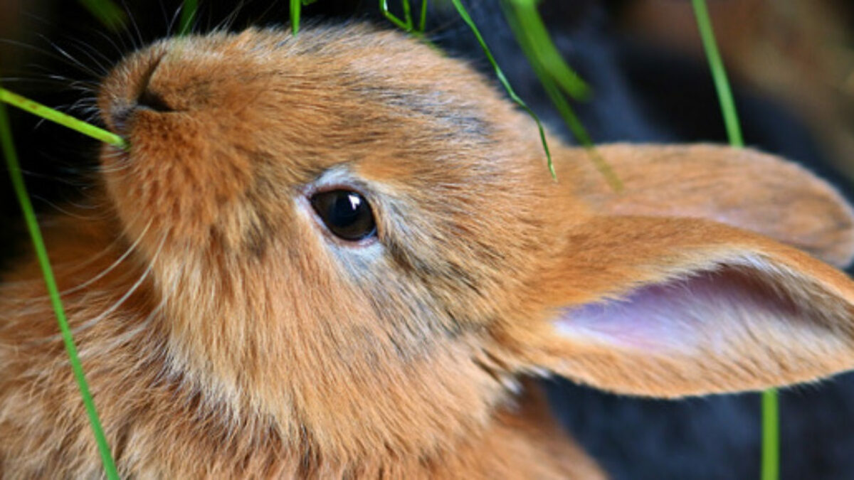 Imagem para blog 2 2