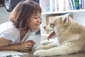 Adotar animais: por que realizar este ato de amor e responsabilidade?