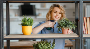 Aprenda como fazer um vaso com 7 ervas em casa
