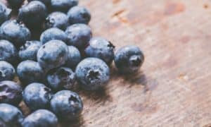 Saiba como plantar jabuticaba em vaso
