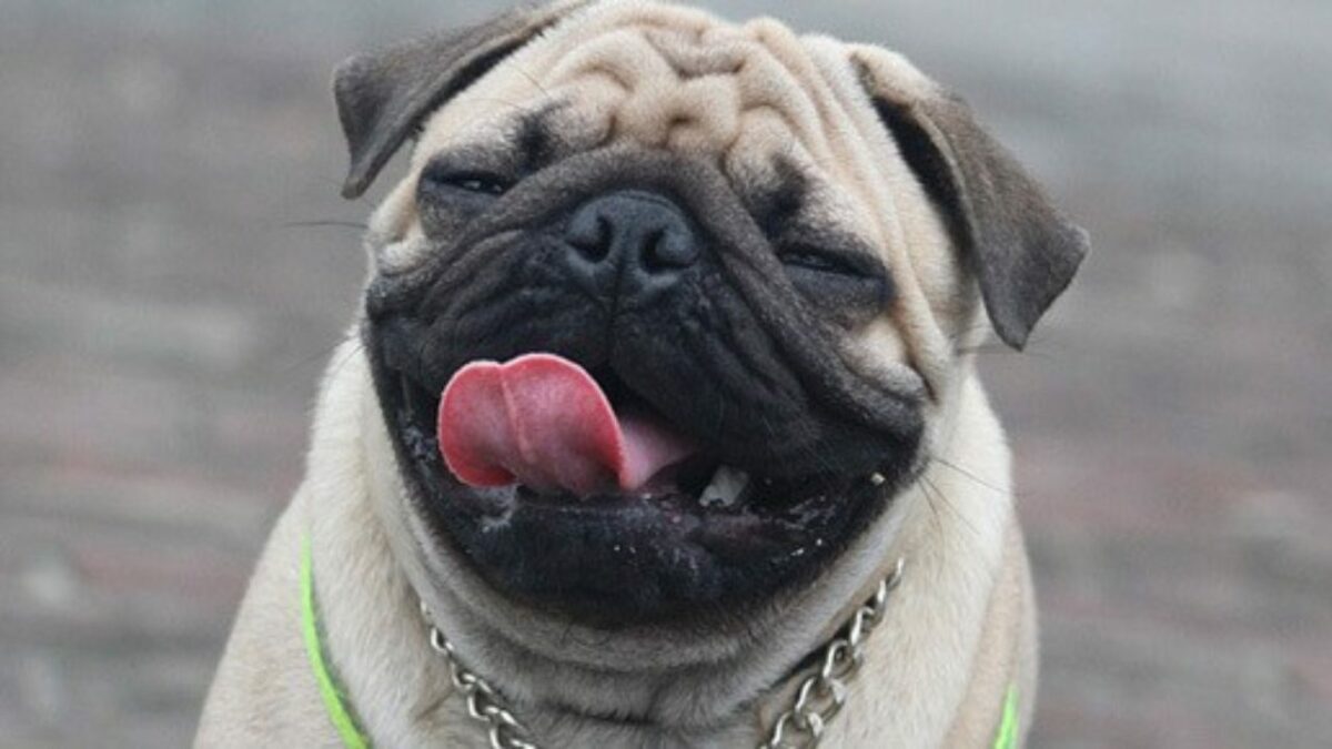 imagem para blog 2 2