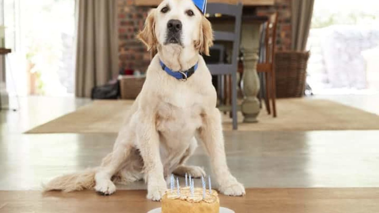 Receita de Bolo de Aniversário para Bebês