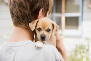 Você sabe o que faz um cão terapeuta? Descubra agora!