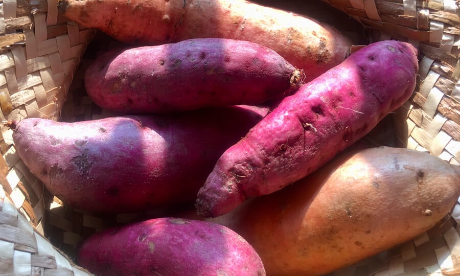 batatas doces em um cesto
