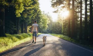 Entenda o que é posse responsável de animais
