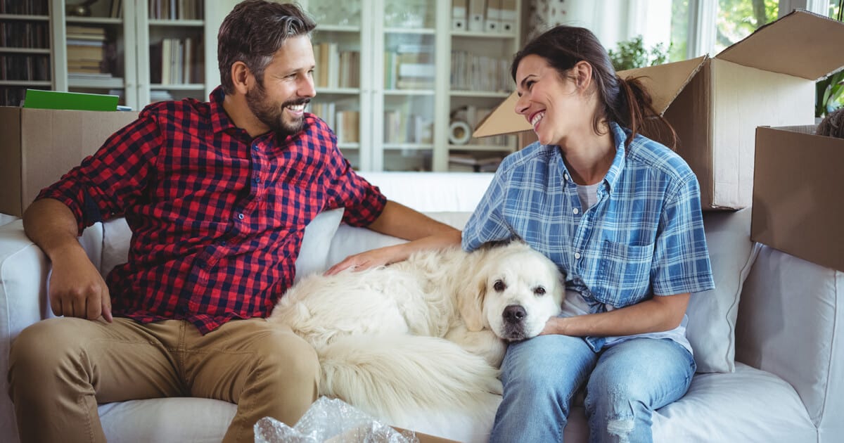 um homem e uma mulher sentados no sofá com seu cachorro em posse responsavel no meio dos dois