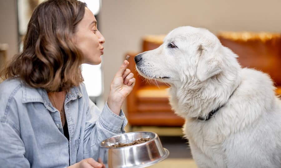 cachorro pode comer casca de uva