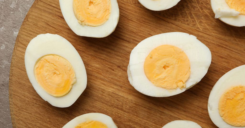 Cachorro filhote pode comer ovo cozido? Descubra! | Petz