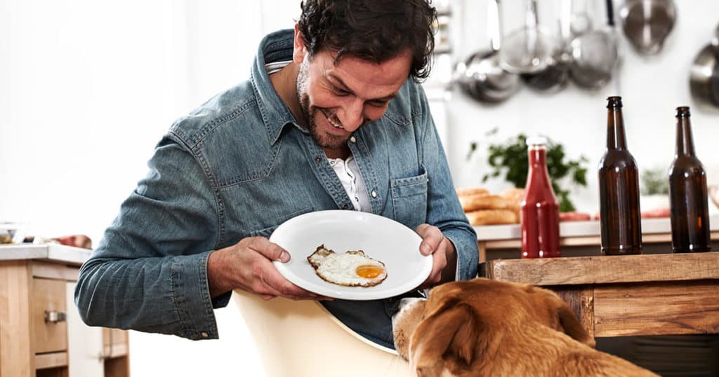 cachorro pode comer gema de ovo topo