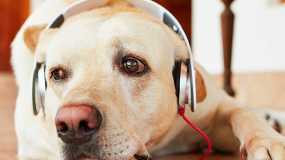 imagem para blog 2 1