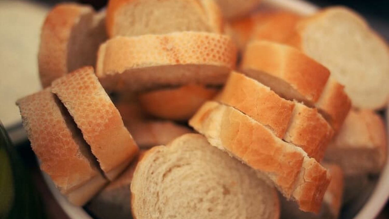 Periquito pode comer pão? Descubra a resposta