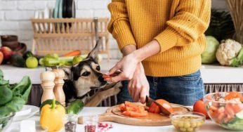Cachorro pode comer casca de legumes? Veja o que é permitido!