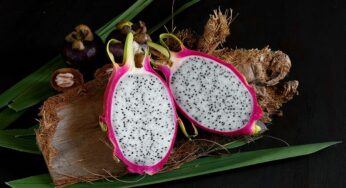 Guia para jardineiros: como plantar pitaya no vaso