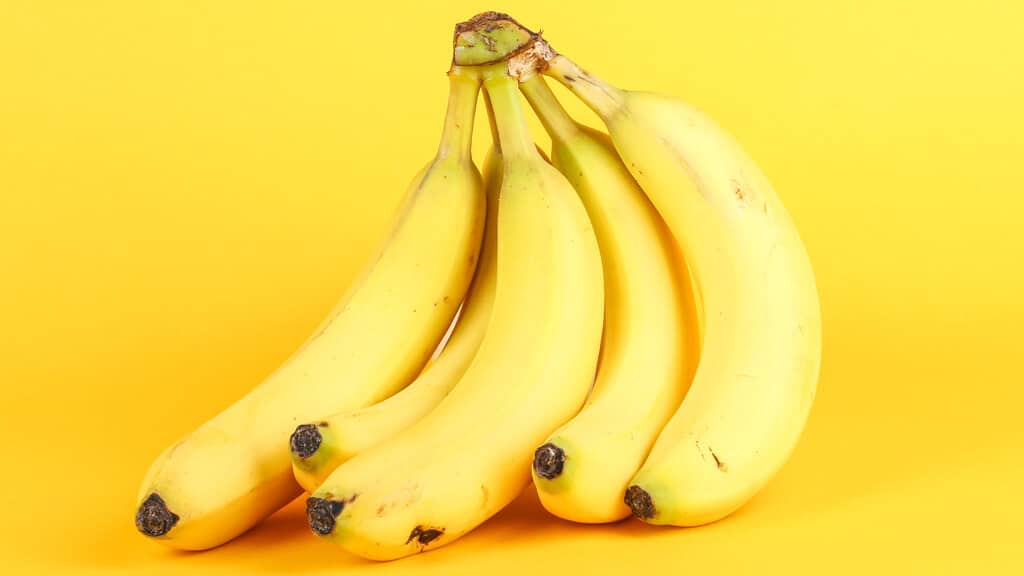 Canário pode comer banana? Descubra aqui! | Petz