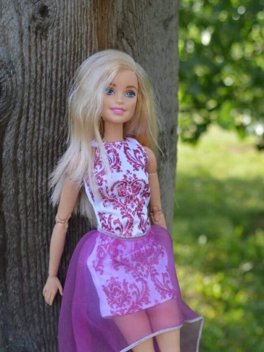 barbie-g073aaaa20_1280